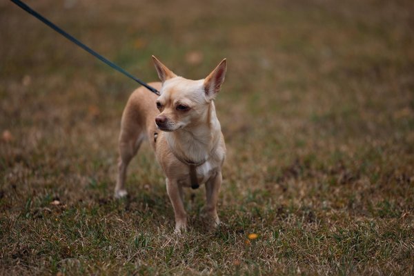 Exercise Tips for a Healthier Life to Ensure Success